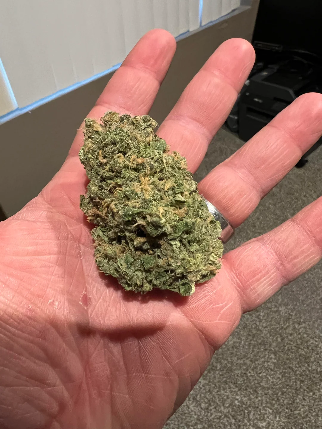 Blue Dream — Sativa cannabis at Rise Dispensary