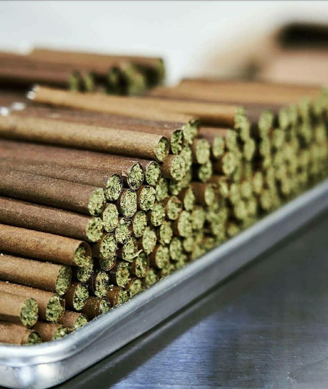 OG Kush Pre-Roll — Indica cannabis at Rise Dispensary