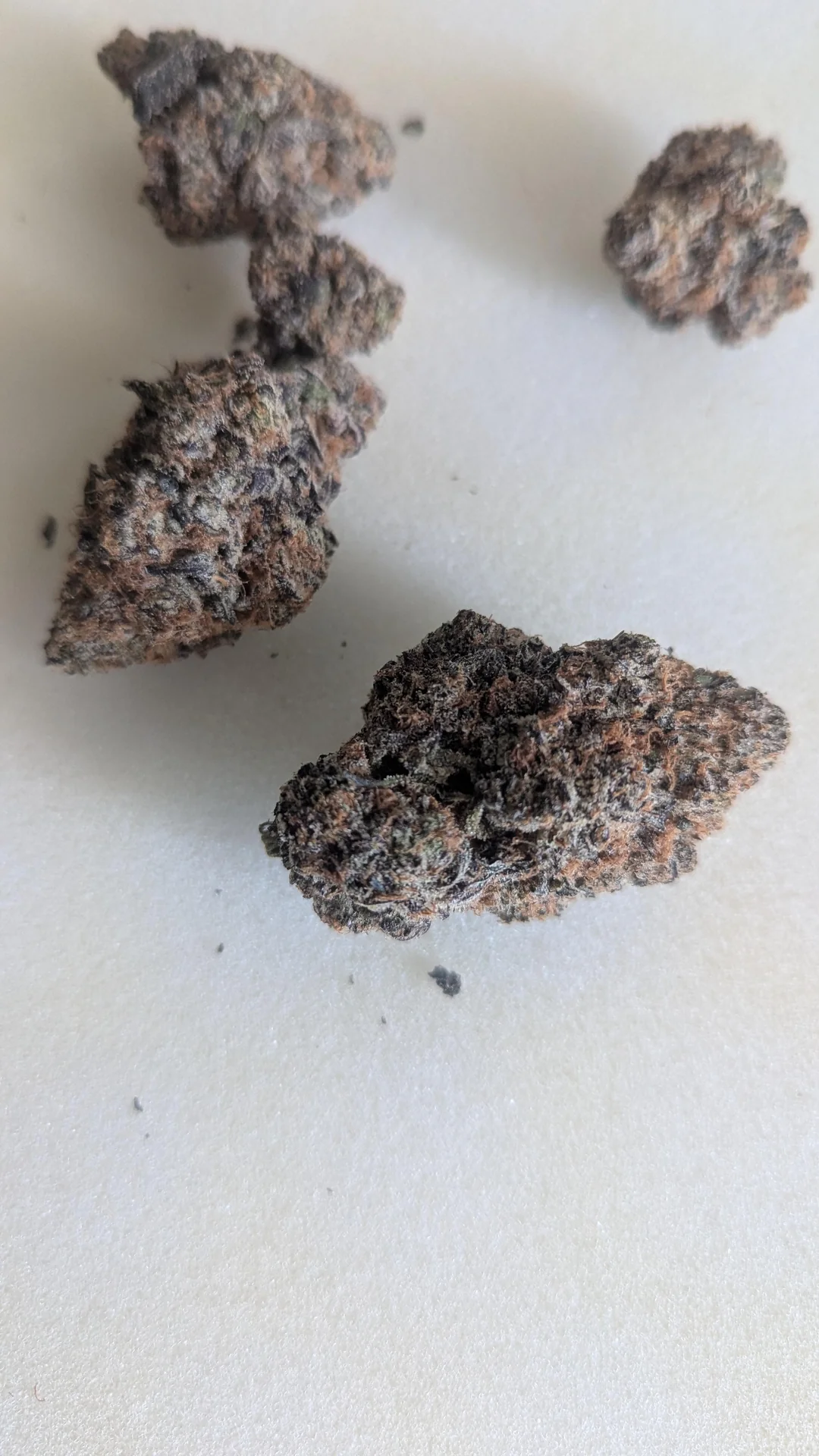 Purple Haze — Sativa cannabis at Rise Dispensary