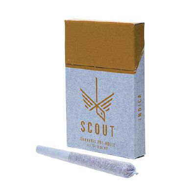 Sativa Pre-Roll Pack — Sativa cannabis at Rise Dispensary